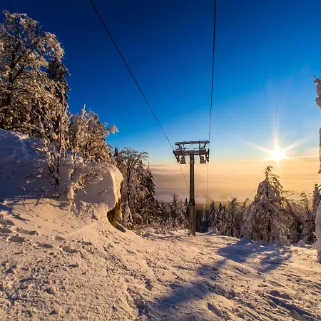 Na Bukové Hoře - 9 Lůžek, 1přistýlka, Dětské Postýlky, Turistická Oblast Kralický Sněžník *