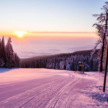 Na Bukové Hoře - 9 Lůžek, 1přistýlka, Dětské Postýlky, Turistická Oblast Kralický Sněžník Appartamento