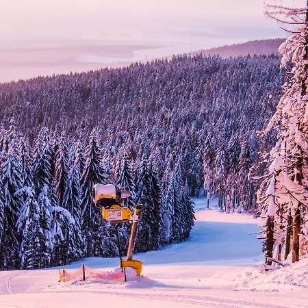 Na Bukové Hoře - 9 Lůžek, 1přistýlka, Dětské Postýlky, Turistická Oblast Kralický Sněžník * Červená Voda