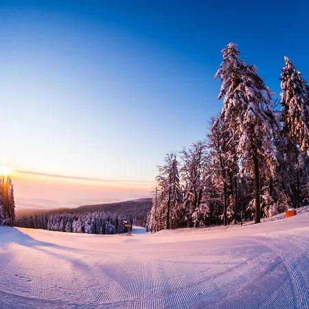 Na Bukové Hoře - 9 Lůžek, 1přistýlka, Dětské Postýlky, Turistická Oblast Kralický Sněžník Appartamento