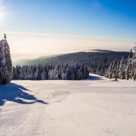 Na Bukové Hoře - 9 Lůžek, 1přistýlka, Dětské Postýlky, Turistická Oblast Kralický Sněžník Appartamento *