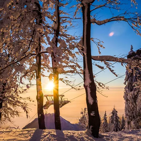 Na Bukové Hoře - 9 Lůžek, 1přistýlka, Dětské Postýlky, Turistická Oblast Kralický Sněžník *
