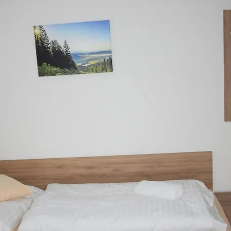 Na Bukové Hoře - 9 Lůžek, 1přistýlka, Dětské Postýlky, Turistická Oblast Kralický Sněžník *