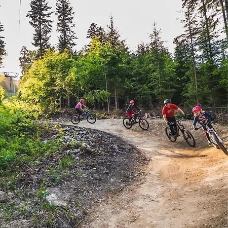 Na Bukové Hoře - 9 Lůžek, 1přistýlka, Dětské Postýlky, Turistická Oblast Kralický Sněžník Červená Voda